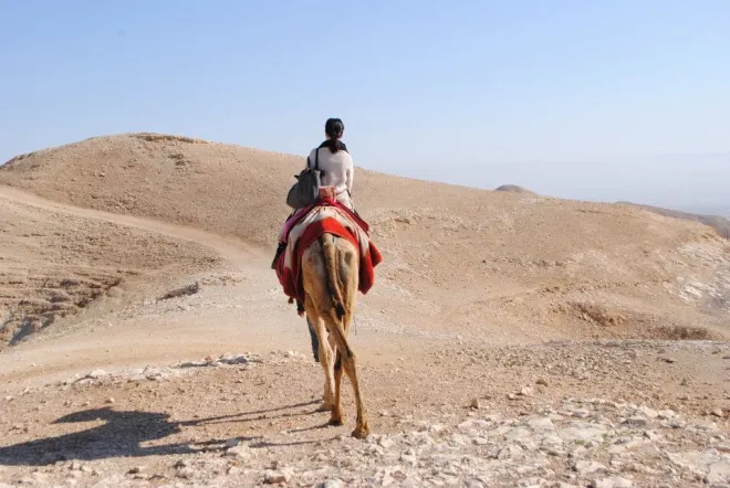Me in Palestine - 2012